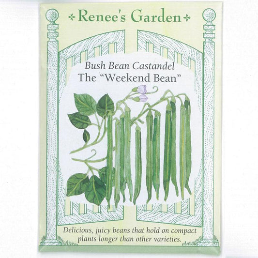 Castandel Weekend Bush Bean Seeds