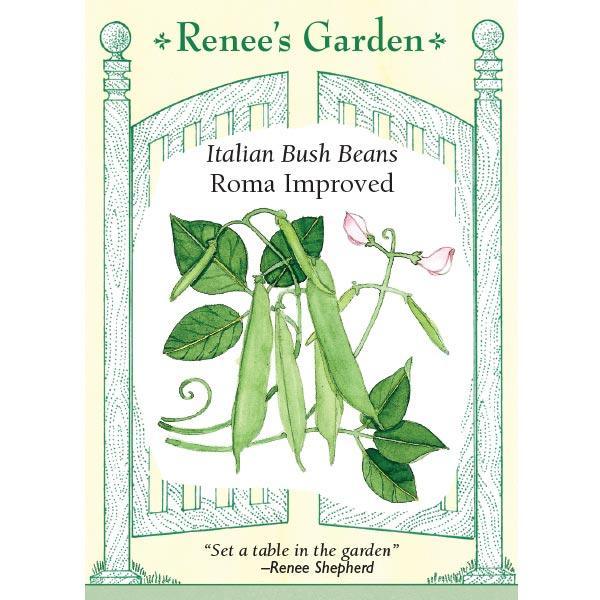 Roma Improved Bush Bean Seeds