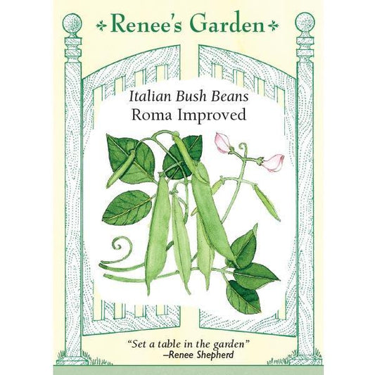 Roma Improved Bush Bean Seeds