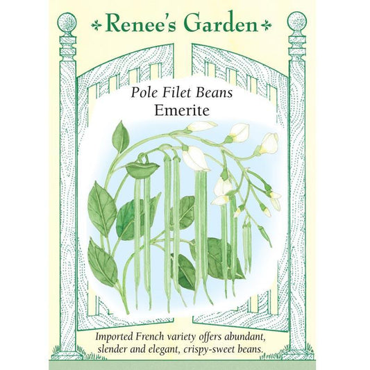 Emerite Filet Pole Bean Seeds