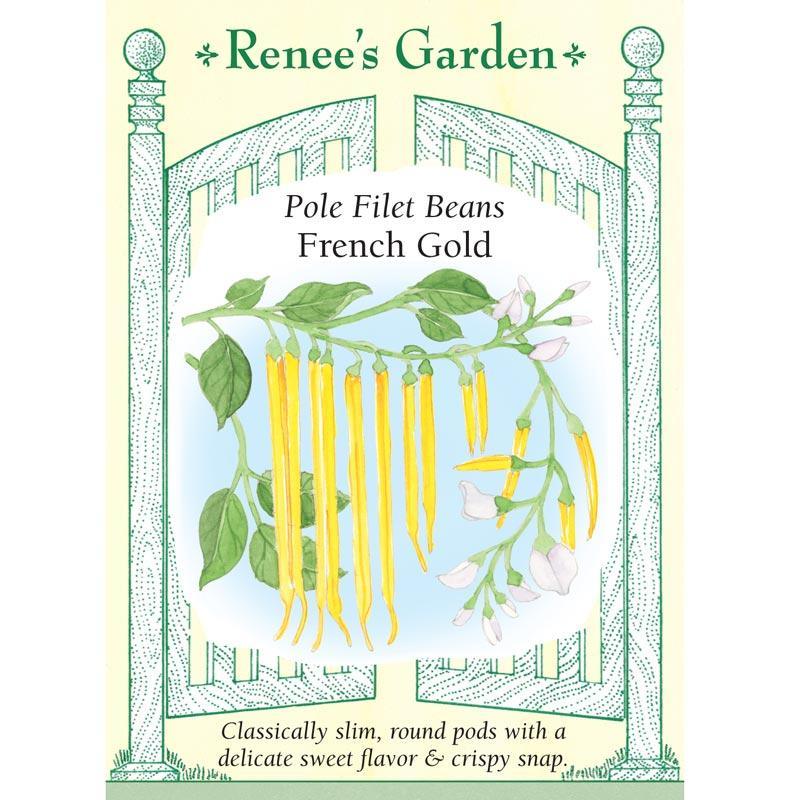 French Gold Filet Pole Bean Seeds