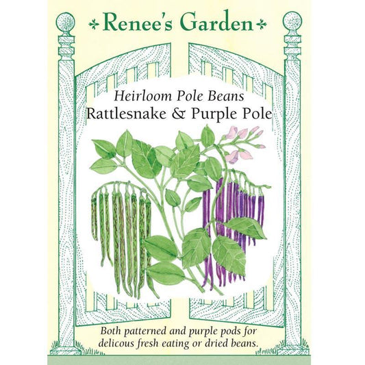 Rattlesnake Ice & Purple Pod Pole Bean Seed Mix