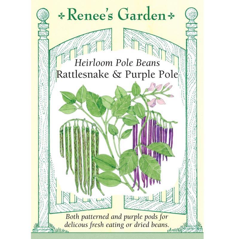 Rattlesnake Ice & Purple Pod Pole Bean Seed Mix
