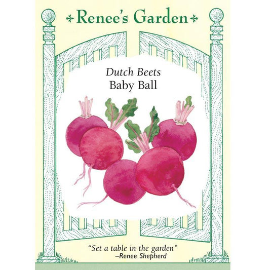 Dutch Baby Ball Beet Seeds