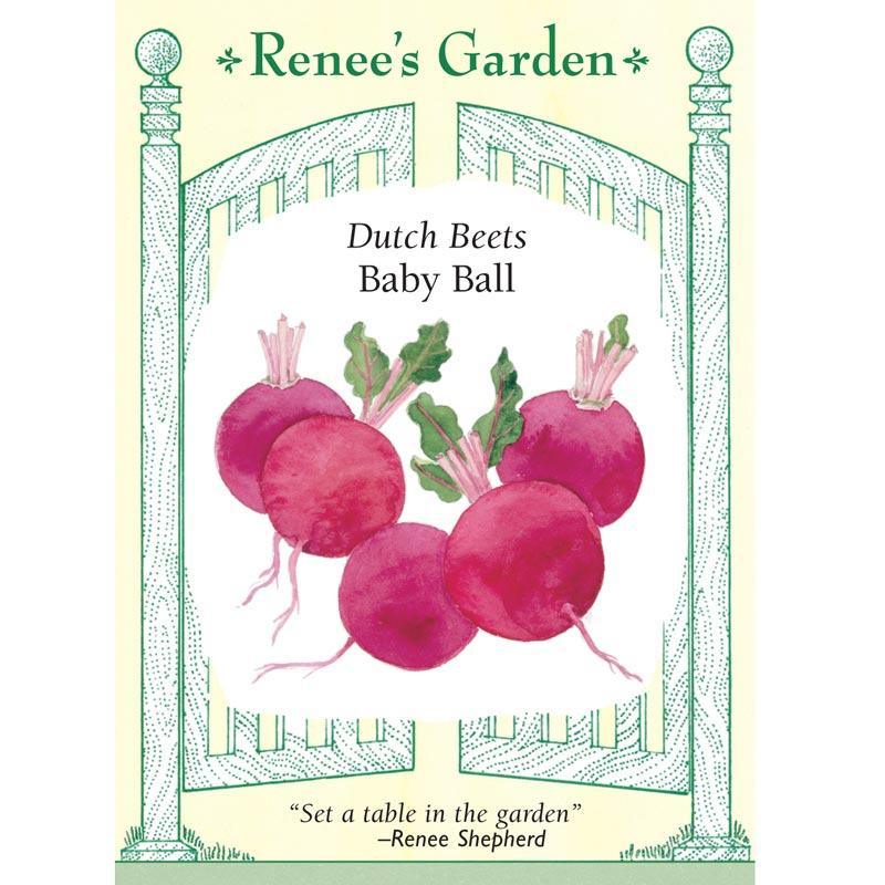 Dutch Baby Ball Beet Seeds
