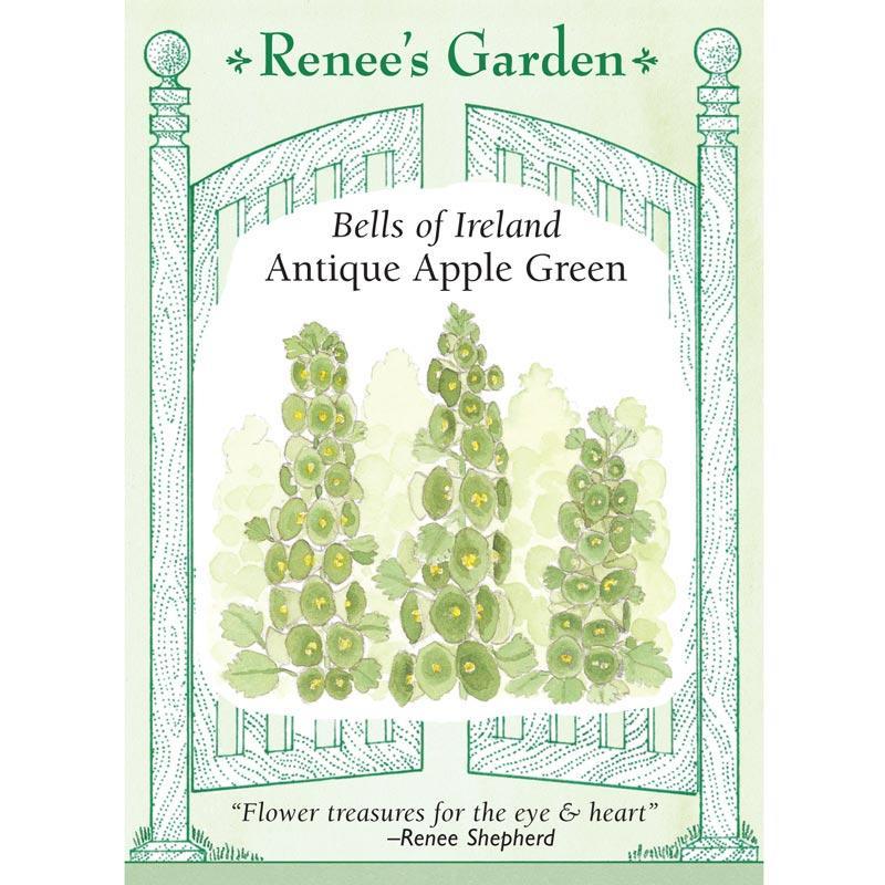 Apple Green Antique Bells Of Ireland Flower Seeds