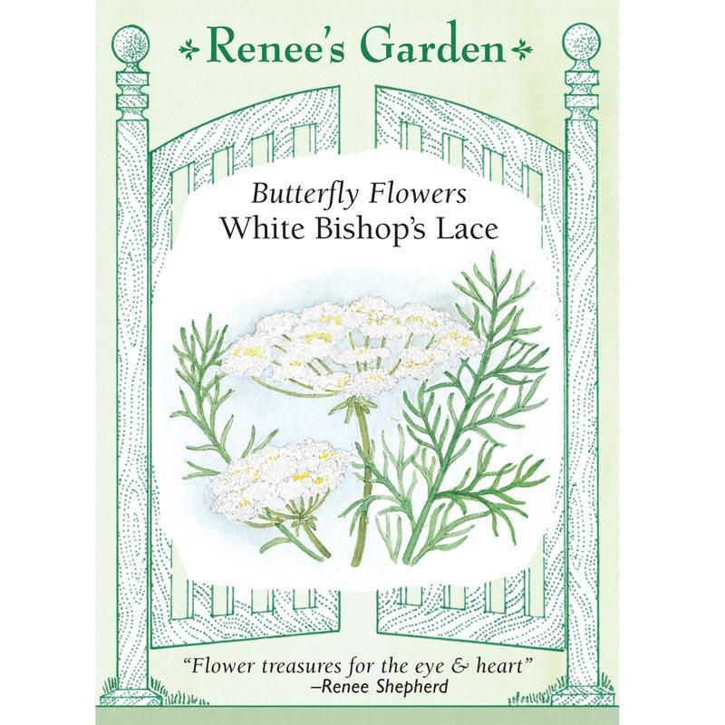 White Butterfly Bishop's Lace Flower Seeds