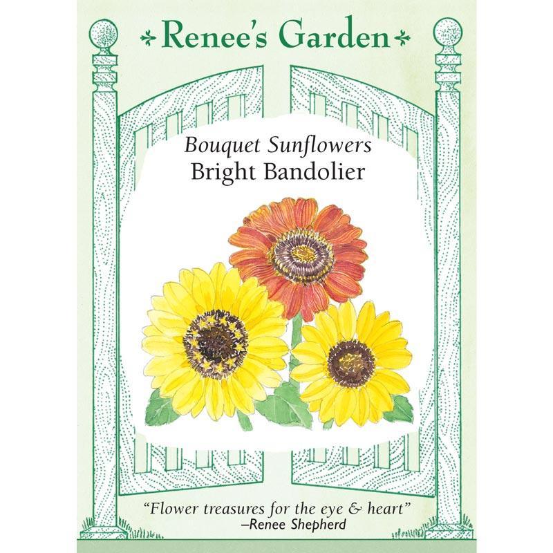 Bright Bandolier Bouquet Sunflower Seeds