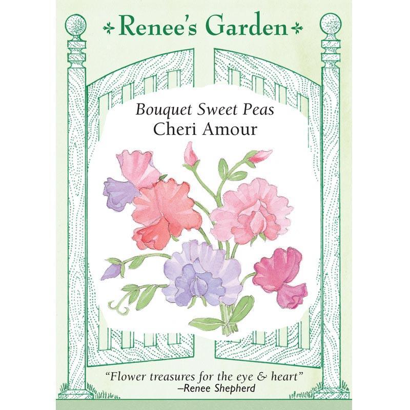 Cheri Amour Bouquet Sweet Pea Flower Seeds