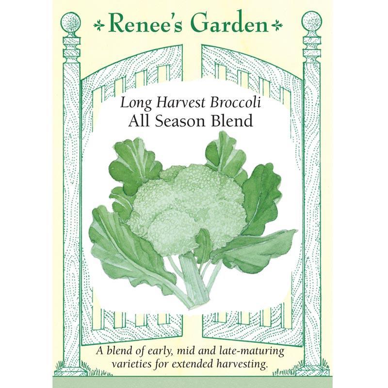 All Season Broccoli Blend Seed Mix