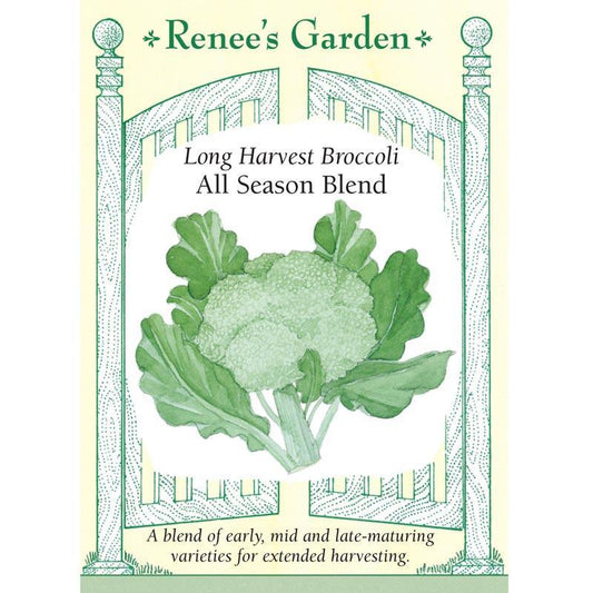 All Season Broccoli Blend Seed Mix