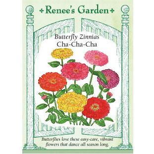 Cha-Cha-Cha Butterfly Zinnia Flower Seeds
