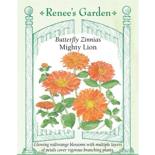 Mighty Lion Butterfly Zinnia Flower Seeds