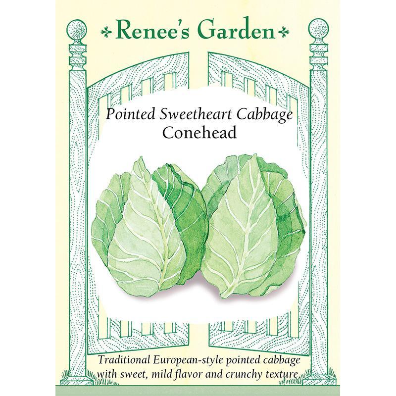 Pointed Sweetheart Conehead Cabbage Seeds