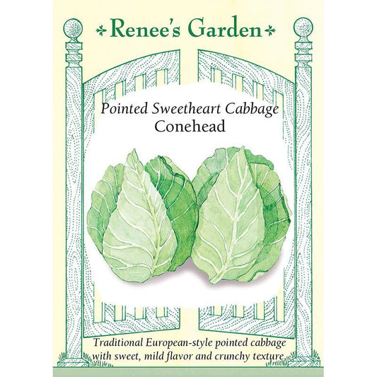 Pointed Sweetheart Conehead Cabbage Seeds