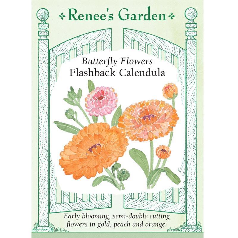 Flashback Butterfly Calendula Flower Seeds