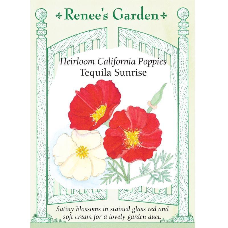 Tequila Sunrise California Poppy Flower Seeds