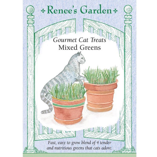 Cat Treats Gourmet Greens Seed Mix