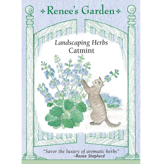 Catmint Seeds