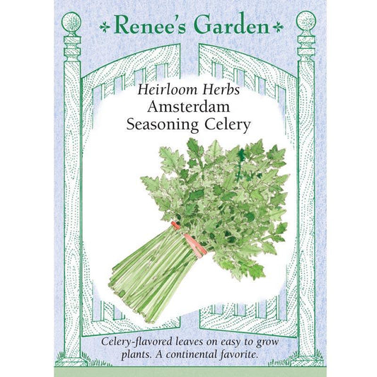 Amsterdam Seasoning Celery Seeds