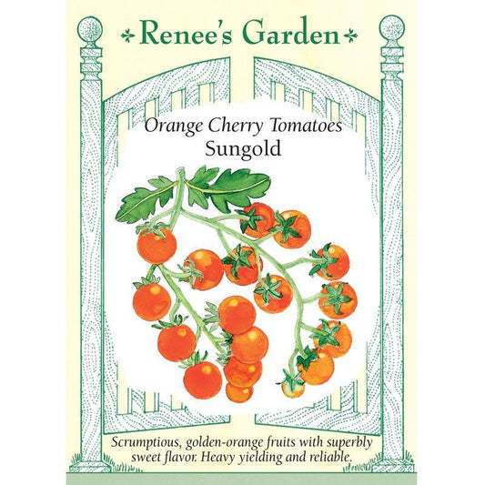 Sungold Orange Cherry Tomato Seeds
