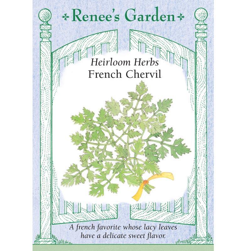 French Chervil Seeds