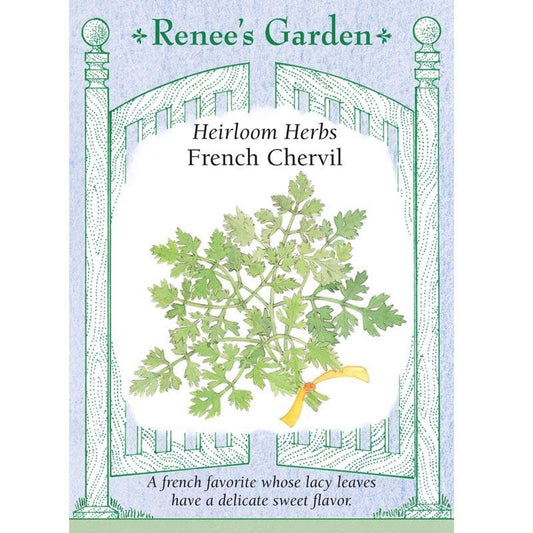 French Chervil Seeds
