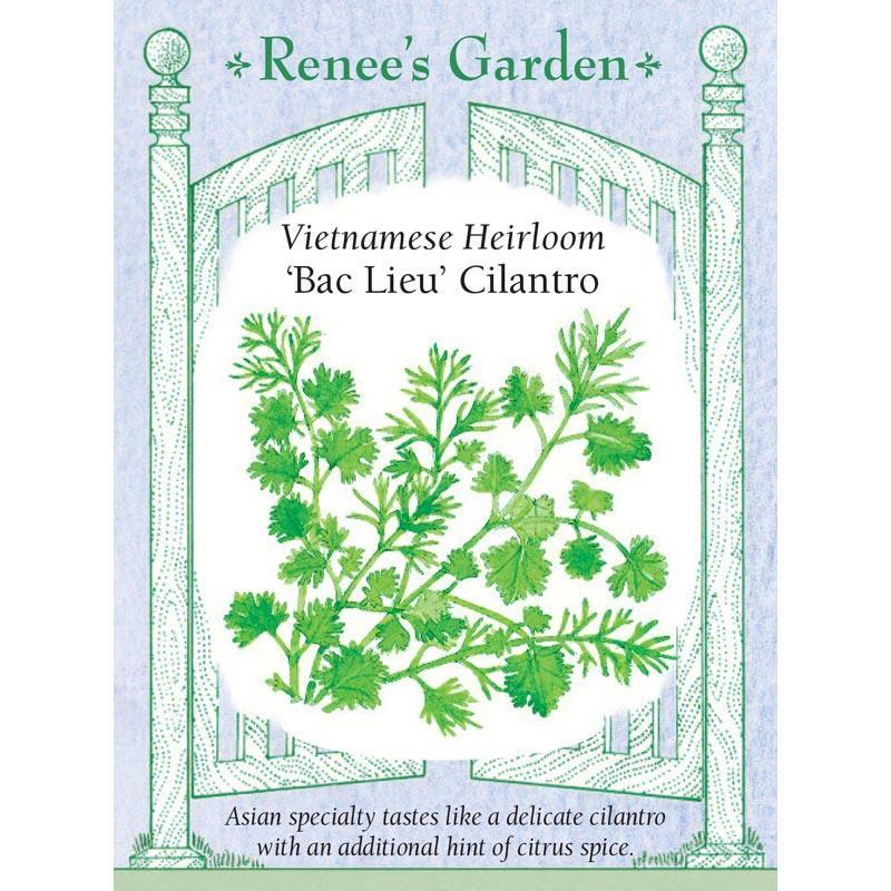 Bac Lieu Vietnamese Cilantro Seeds