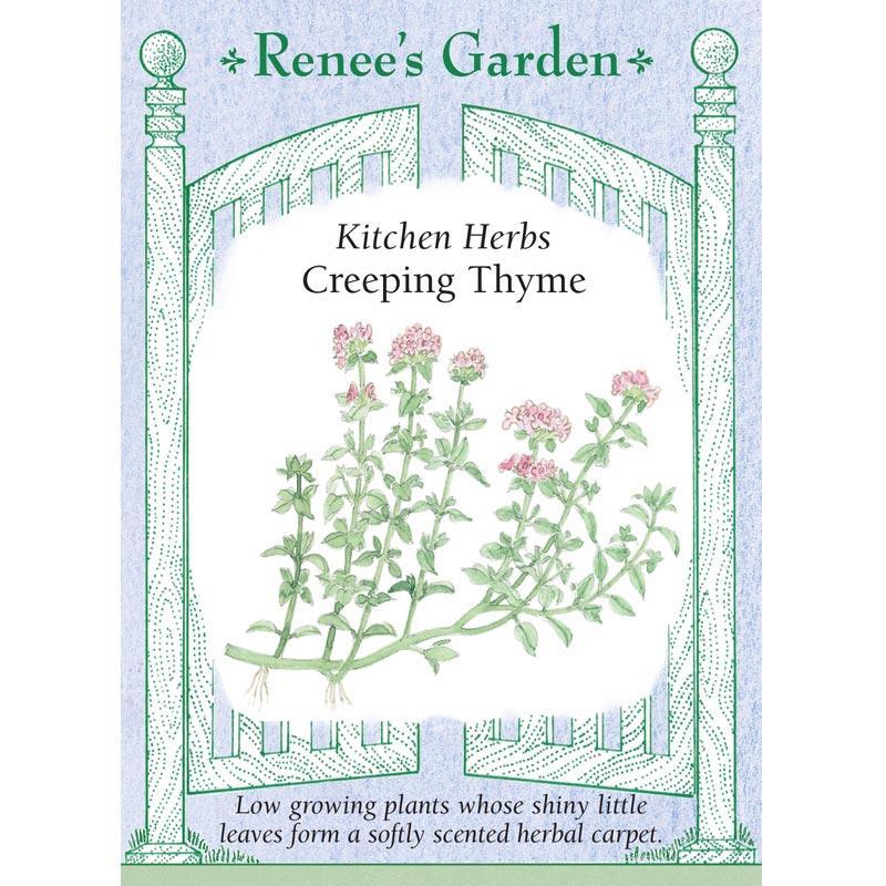 Creeping Thyme Seeds