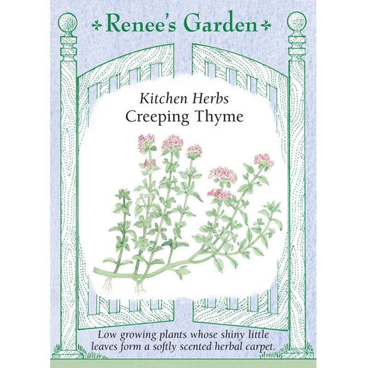 Creeping Thyme Seeds
