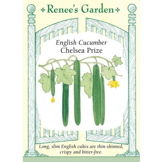 Chelsea Prize English Cucumber Seeds