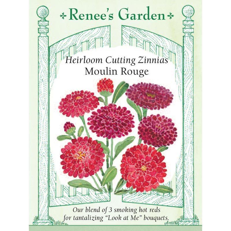 Moulin Rouge Cutting Zinnia Flower Seeds