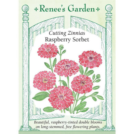 Raspberry Sorbet Cutting Zinnia Flower Seeds