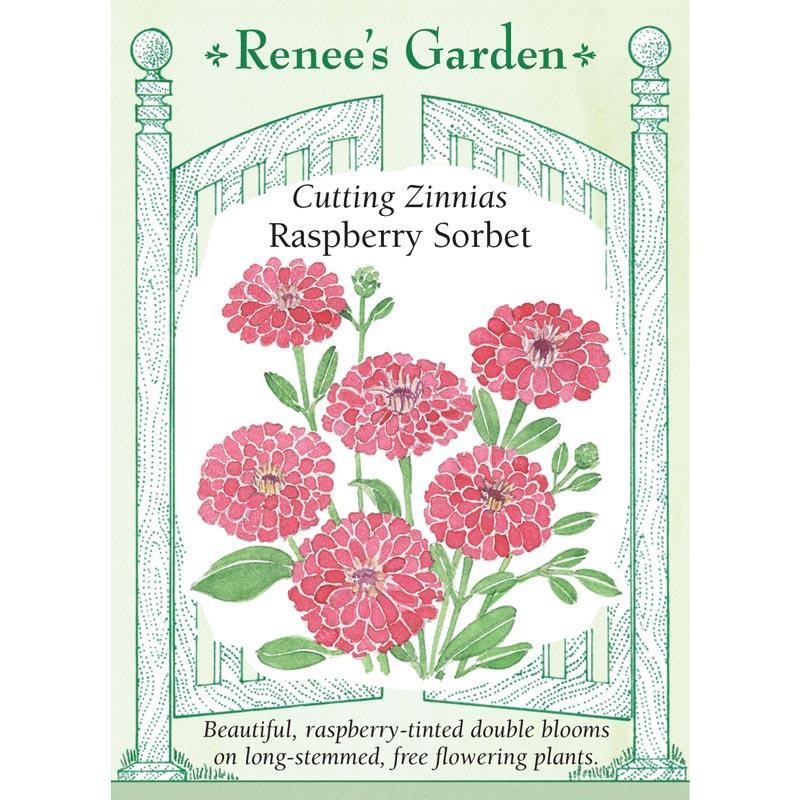 Raspberry Sorbet Cutting Zinnia Flower Seeds