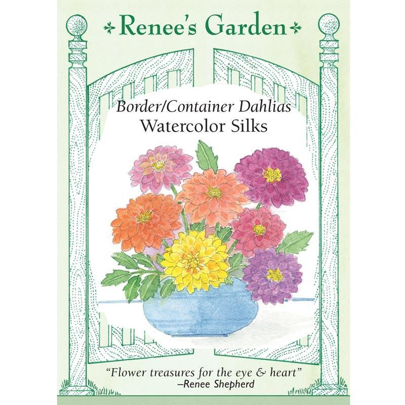 Watercolor Silks Dwarf Dahlia Flower Seeds