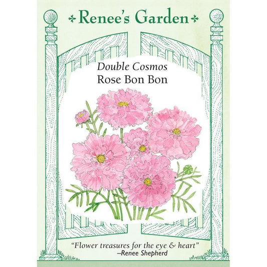 Rose Bon Bon Double Cosmos Flower Seeds