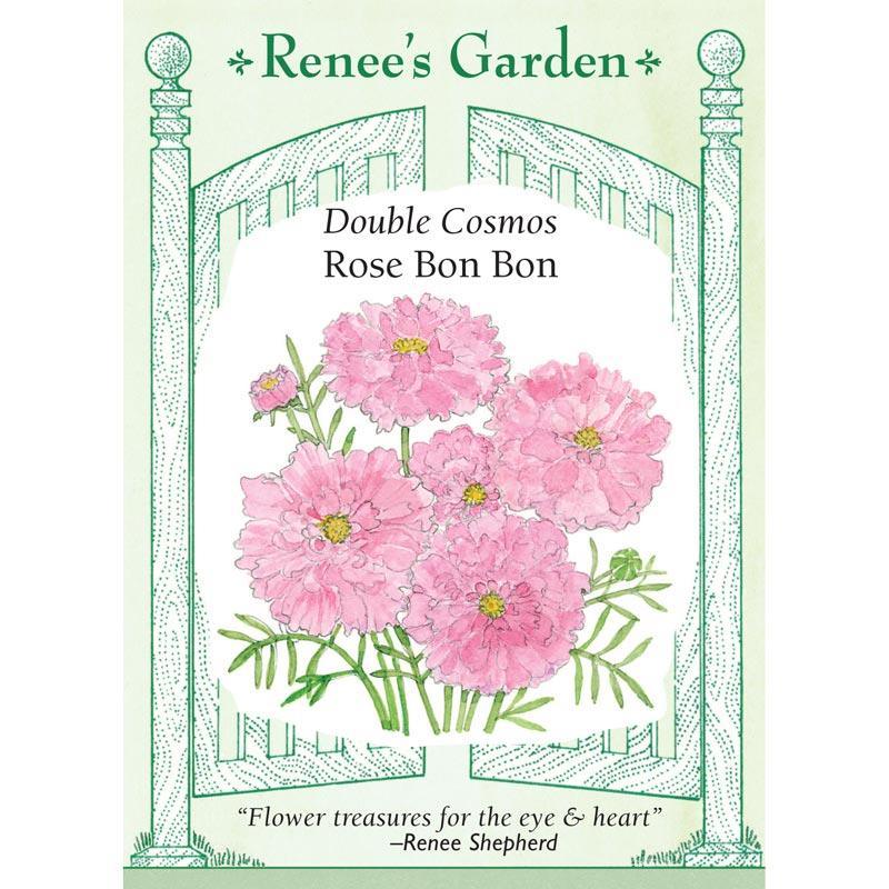 Rose Bon Bon Double Cosmos Flower Seeds