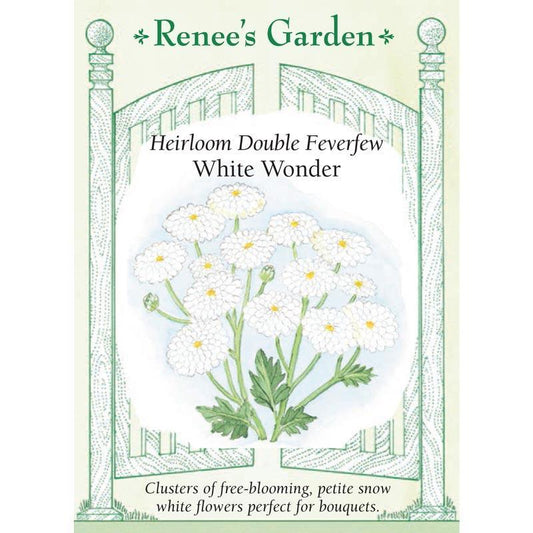 Double White Wonder Feverfew Seeds