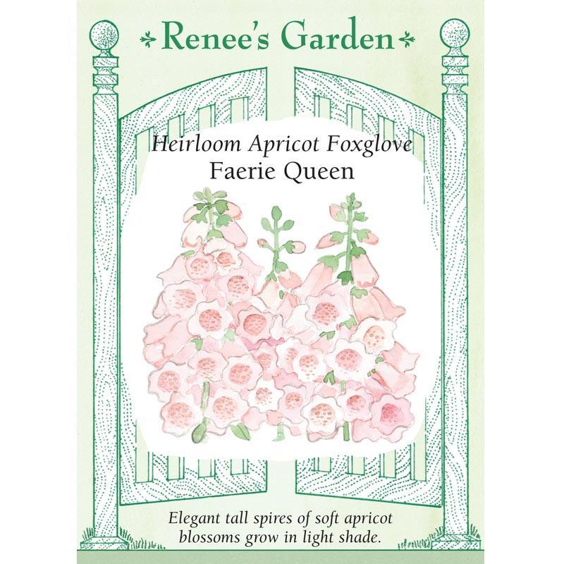 Apricot Faerie Queen Foxglove Flower Seeds