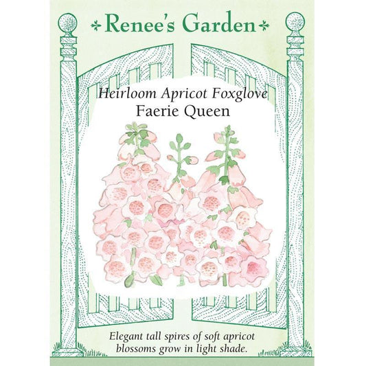 Apricot Faerie Queen Foxglove Flower Seeds
