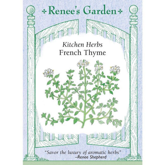 French Thyme Seeds