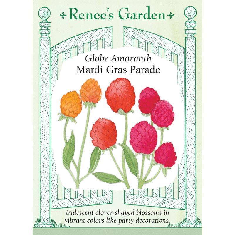 Mardi Gras Parade Globe Amaranth Flower Seeds