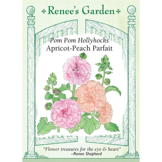 Apricot-Peach Parfait Pom Pom Hollyhock Flower Seeds