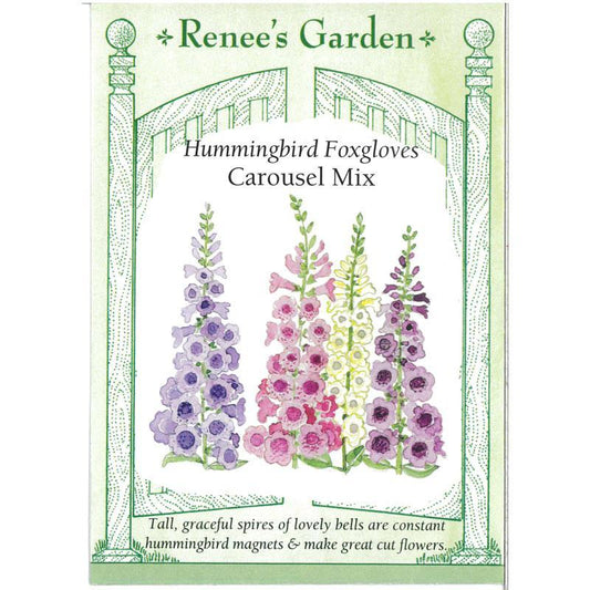 Carousel Hummingbird Foxgloves Flower Seed Mix