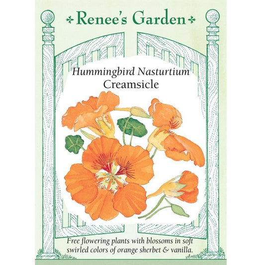 Creamsicle Hummingbird Nasturtium Flower Seeds