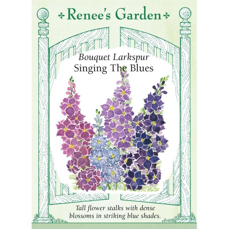 Singing the Blues Bouquet Larkspur Flower Seeds