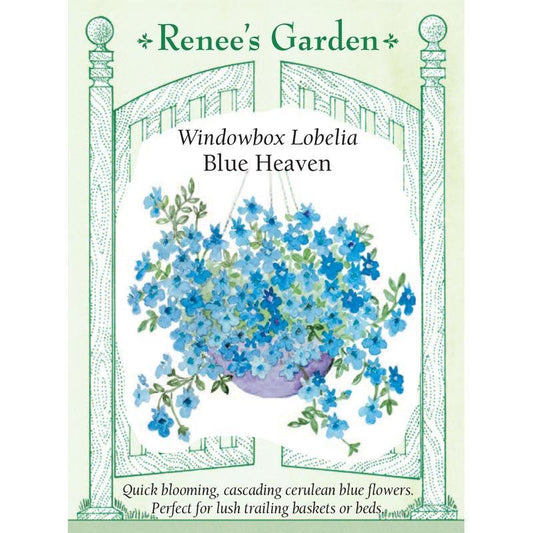 Blue Heaven Windowbox Lobelia Flower Seeds