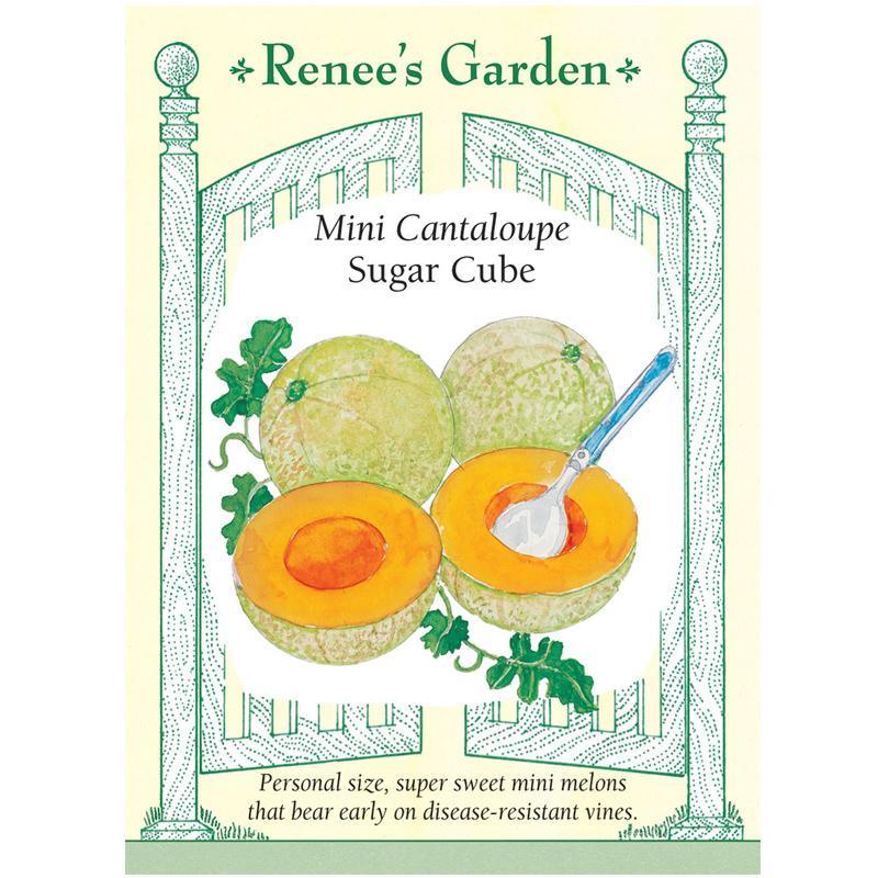 Melon Cantaloupe Mini Sugar Cube Seeds