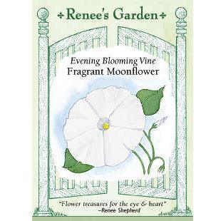 Evening Blooming Fragrant Moonflower Vine Flower Seeds