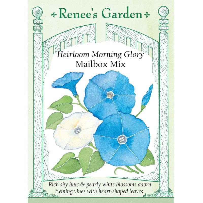Mailbox Morning Glory Flower Seed Mix